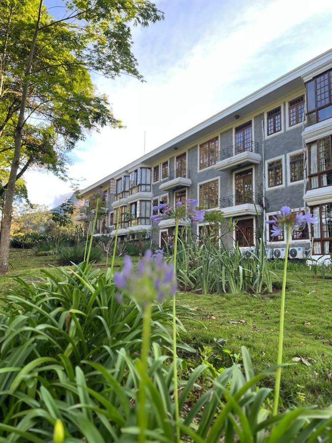 Aroso Paco Hotel Педра Азул Екстериор снимка The Faculty of Law